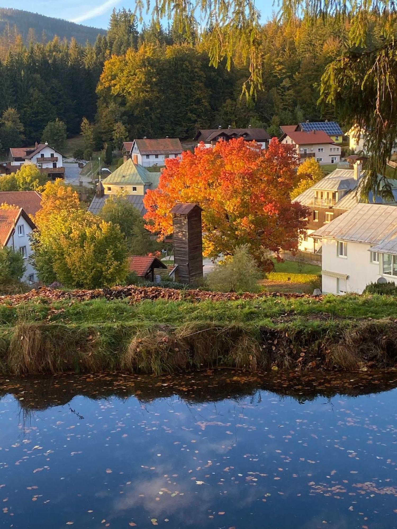 Das Alte Forsthaus Spiegelhuette Lindberg Dış mekan fotoğraf
