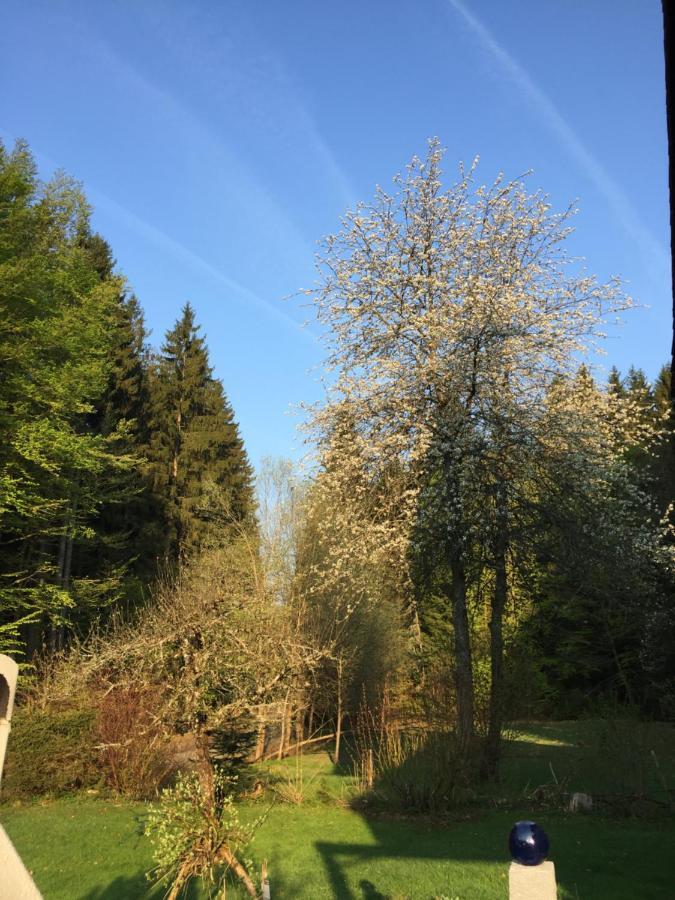 Das Alte Forsthaus Spiegelhuette Lindberg Dış mekan fotoğraf